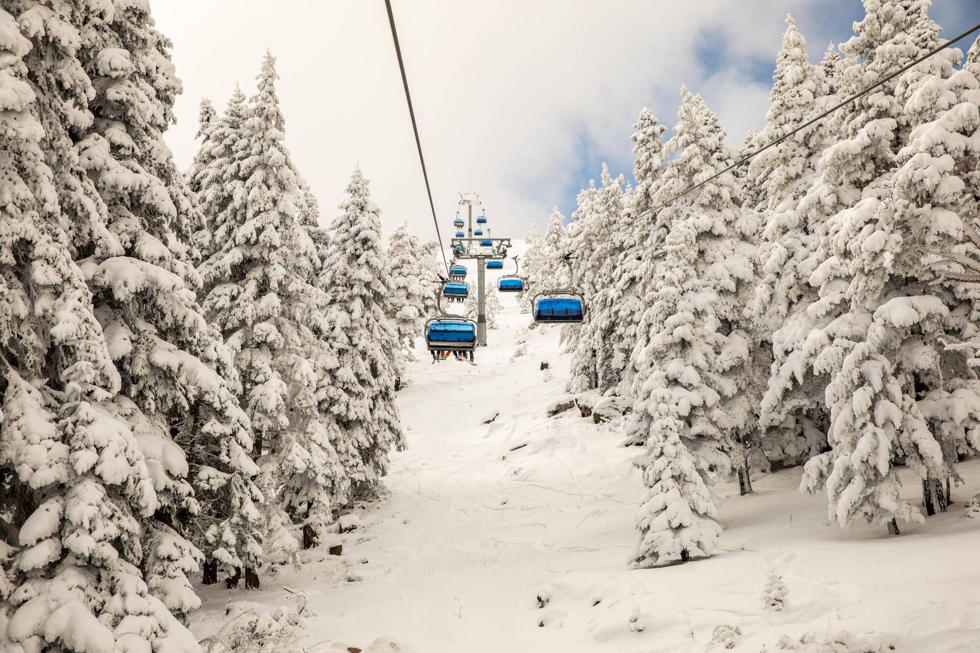 Dorukkaya Ski&Mountain Resort Bolu Bagian luar foto